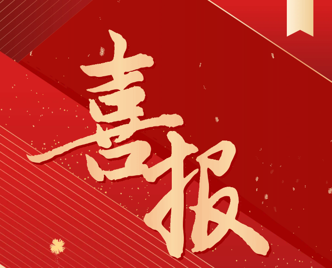 喜報(bào)！我院師生在2024一帶一路暨金磚國(guó)家技能發(fā)展與技術(shù)創(chuàng)新大賽中榮獲佳績(jī)