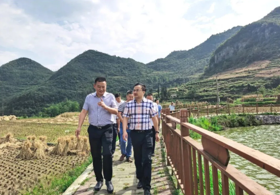 畢節(jié)工業(yè)職業(yè)技術(shù)學(xué)院黨委書記李涌、院長邱國援率隊到鄉(xiāng)村振興駐村聯(lián)系工作點調(diào)研